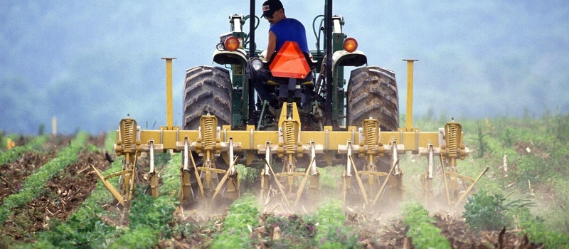 Реєстрація фермерського господарства