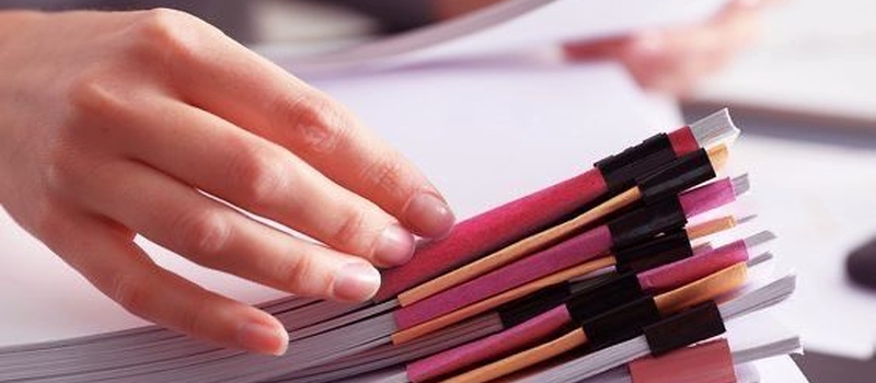 Звітність для юридичної особи