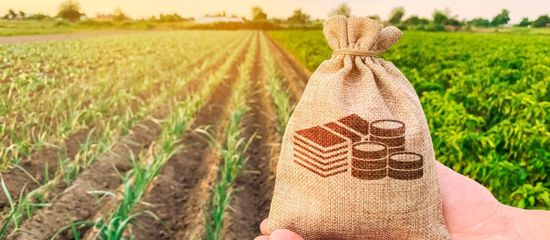 Плата за землю: кто освобождается от уплаты земельного налога?