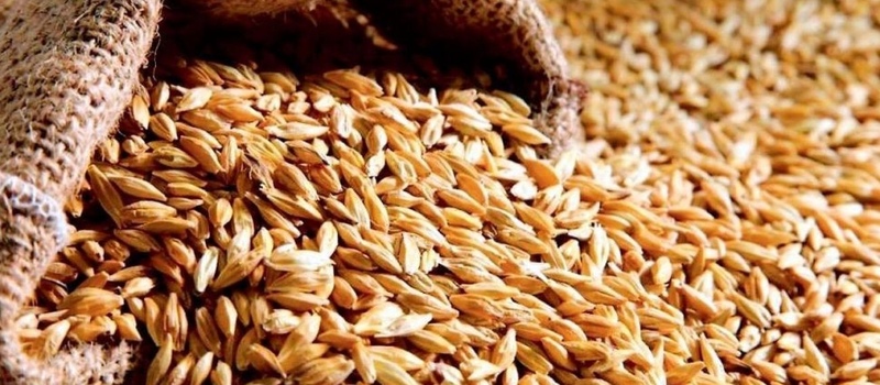 Учет зерна на элеваторе