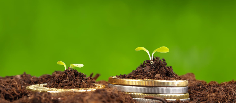 Рентна плата