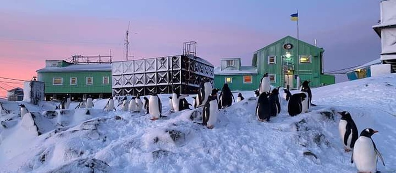 Учет транспортно-экспедиторских услуг