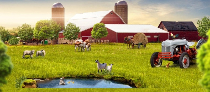 Как членам фермерского хозяйства платить ЕСВ: практические советы