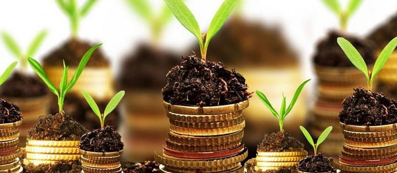 Нормативная денежная оценка земельного участка